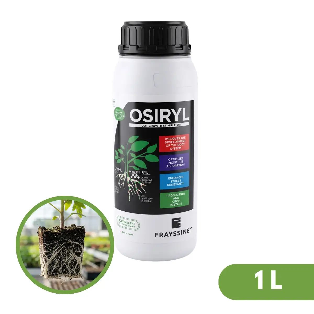 Osiryl