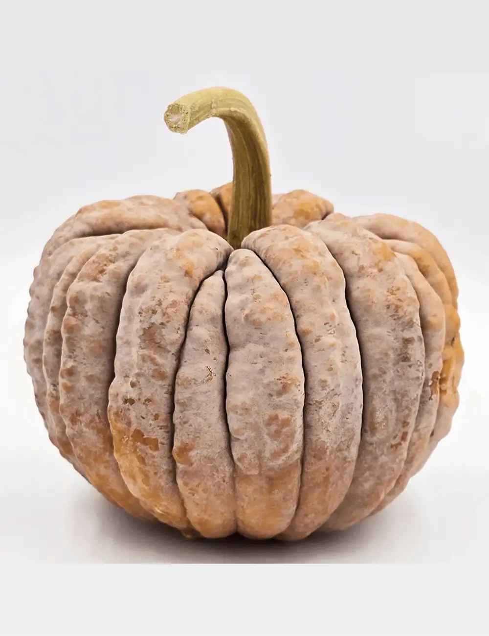 Kürbis Kogigu