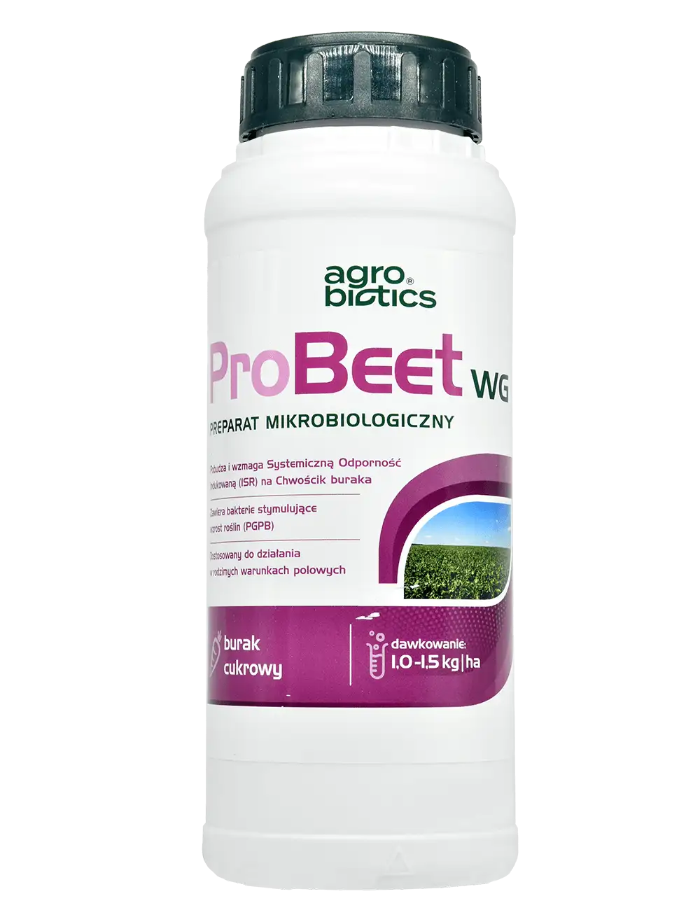 Probeet WG