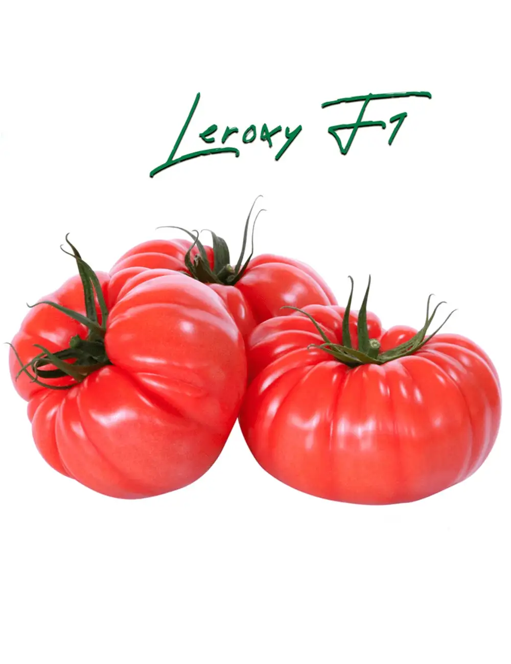 Tomato Leroxy