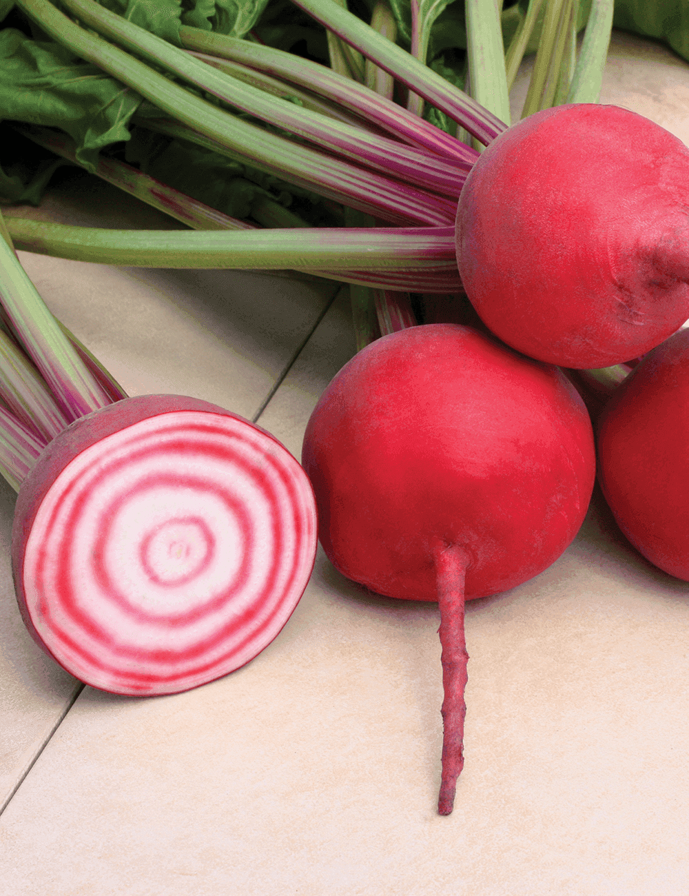 Rote Bete CHIOGGIA-GUARDSMARK