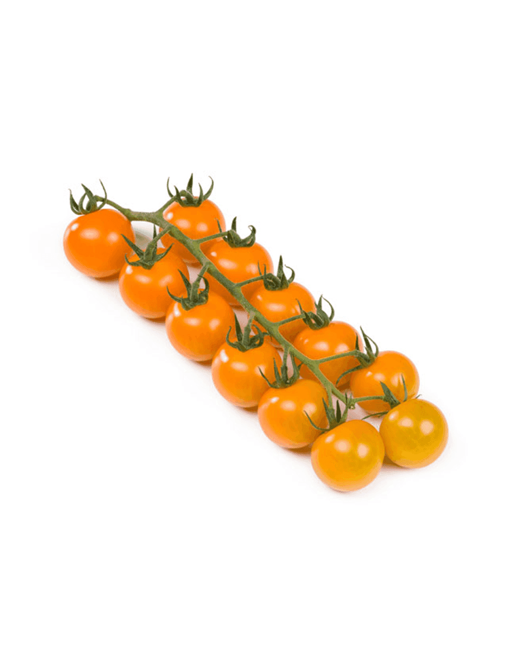 Tomate Tomarange F1