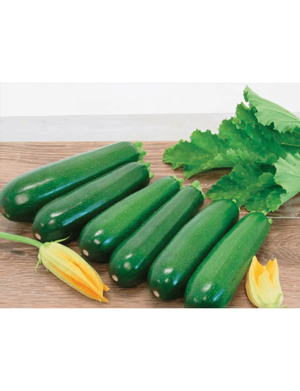Zucchini Renegade