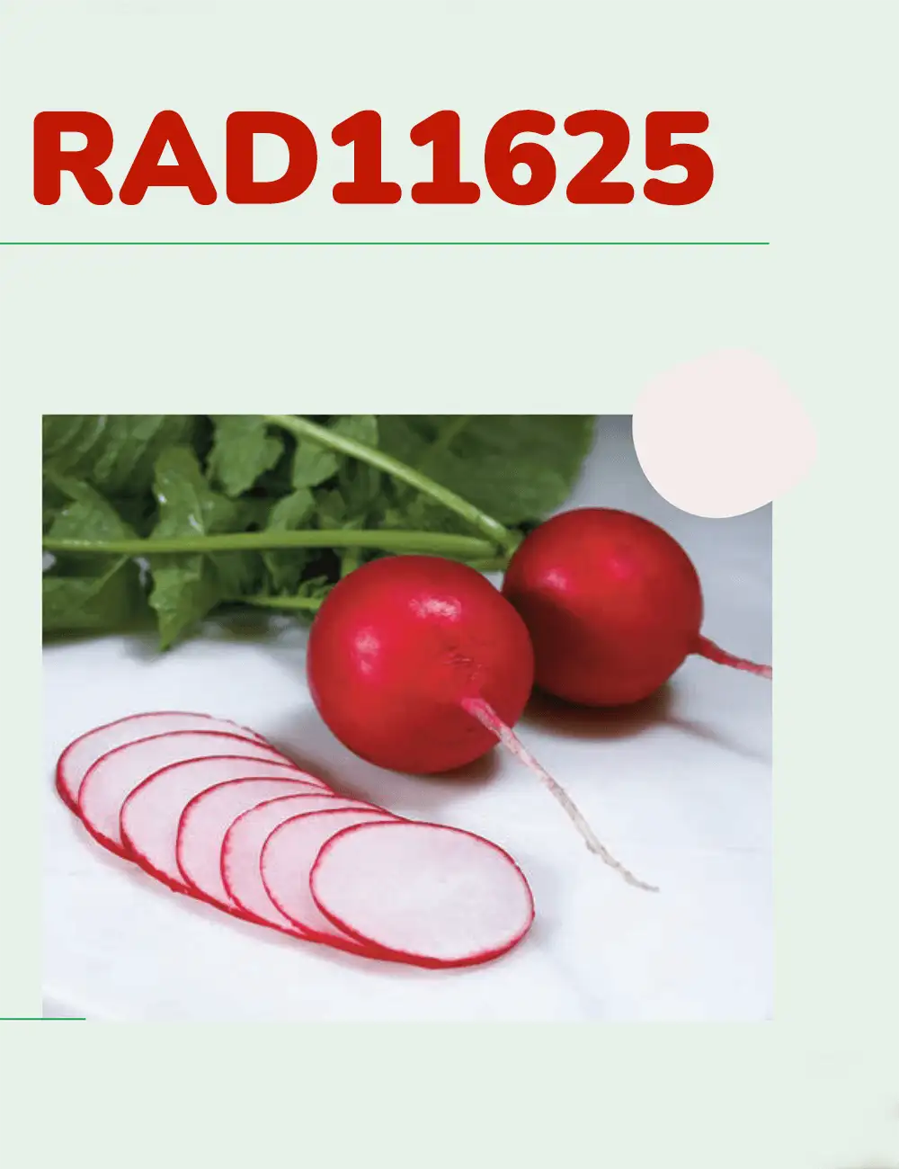Редиска Rad11625
