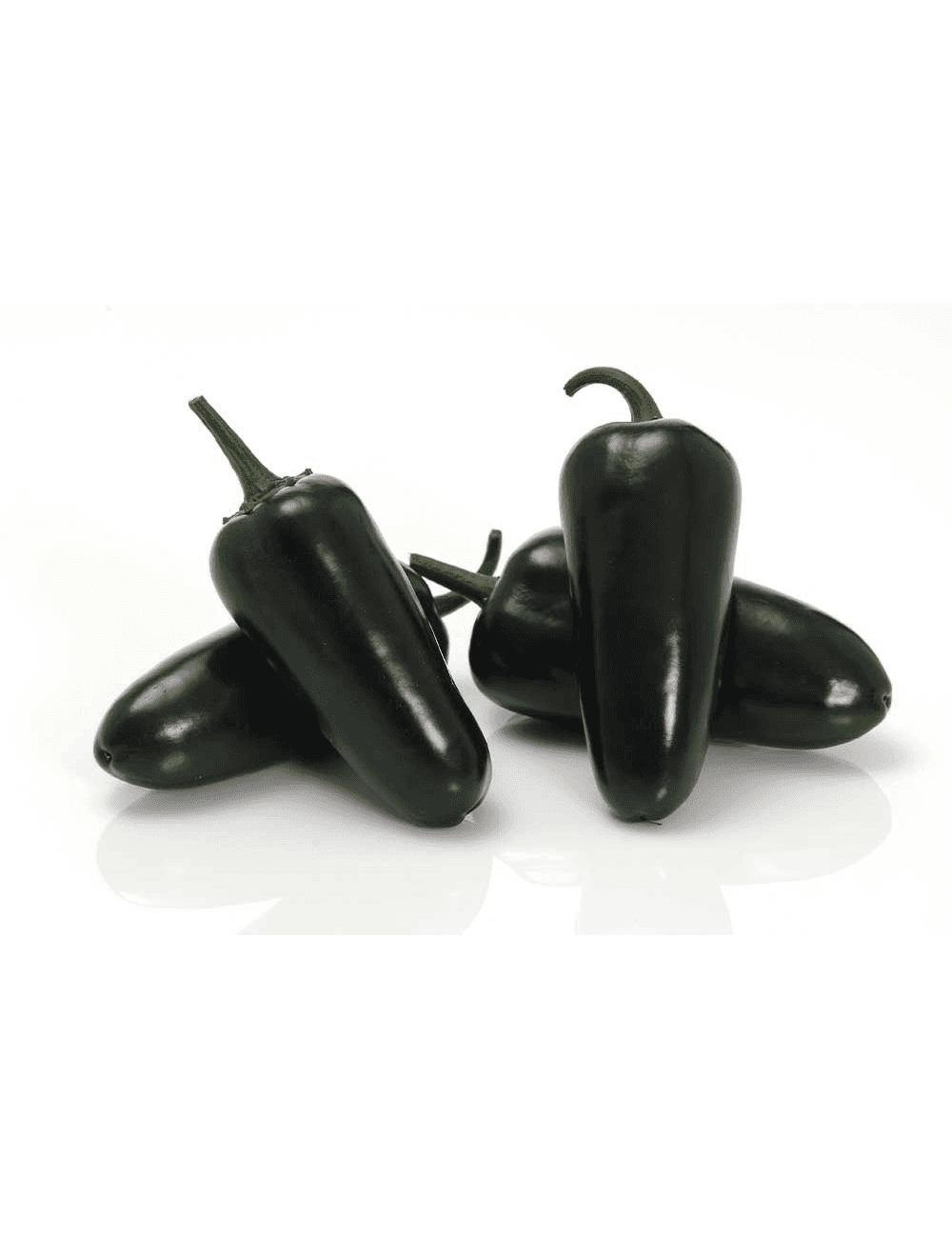 Paprika Black Bullet