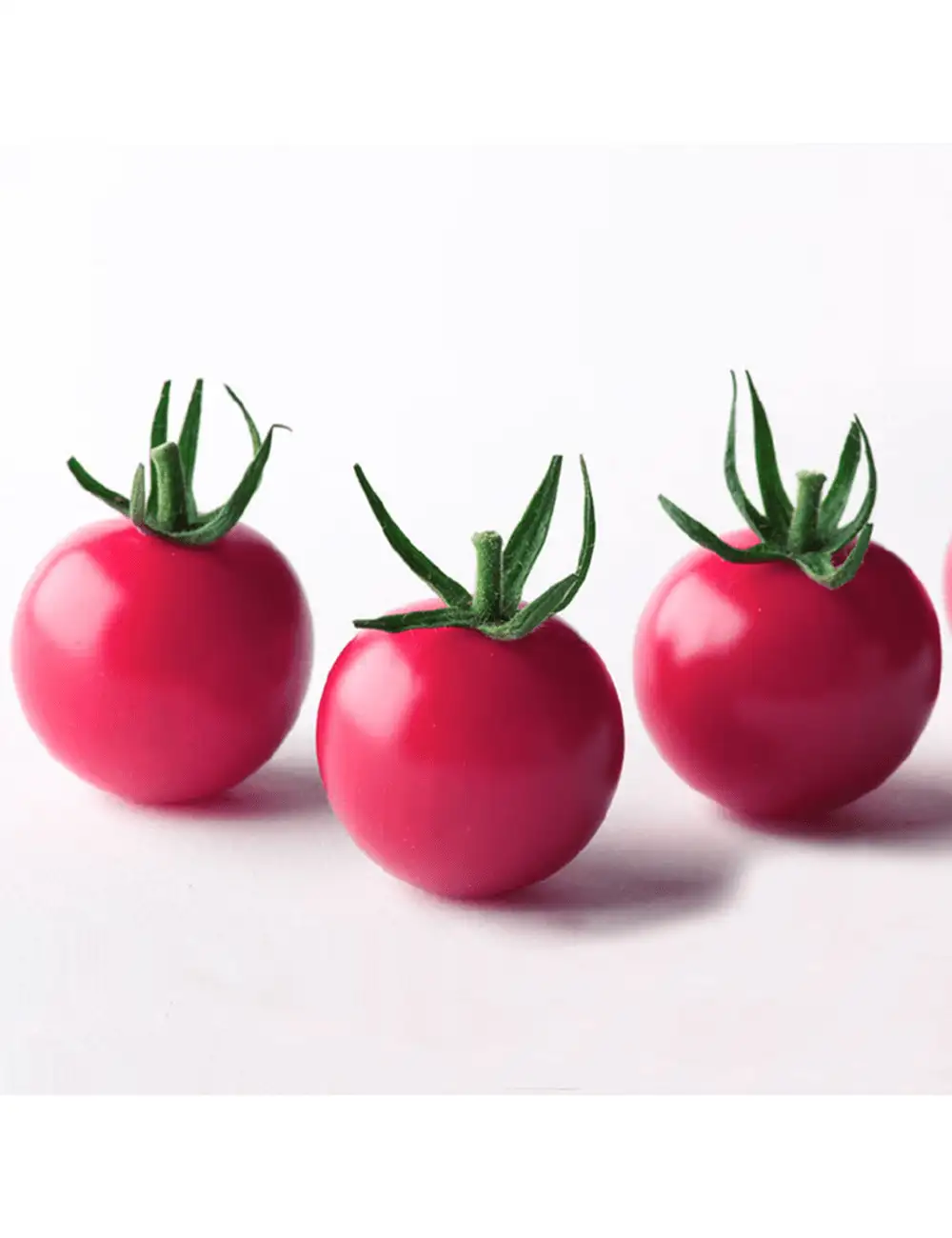 Tomate Rhianna Gspp