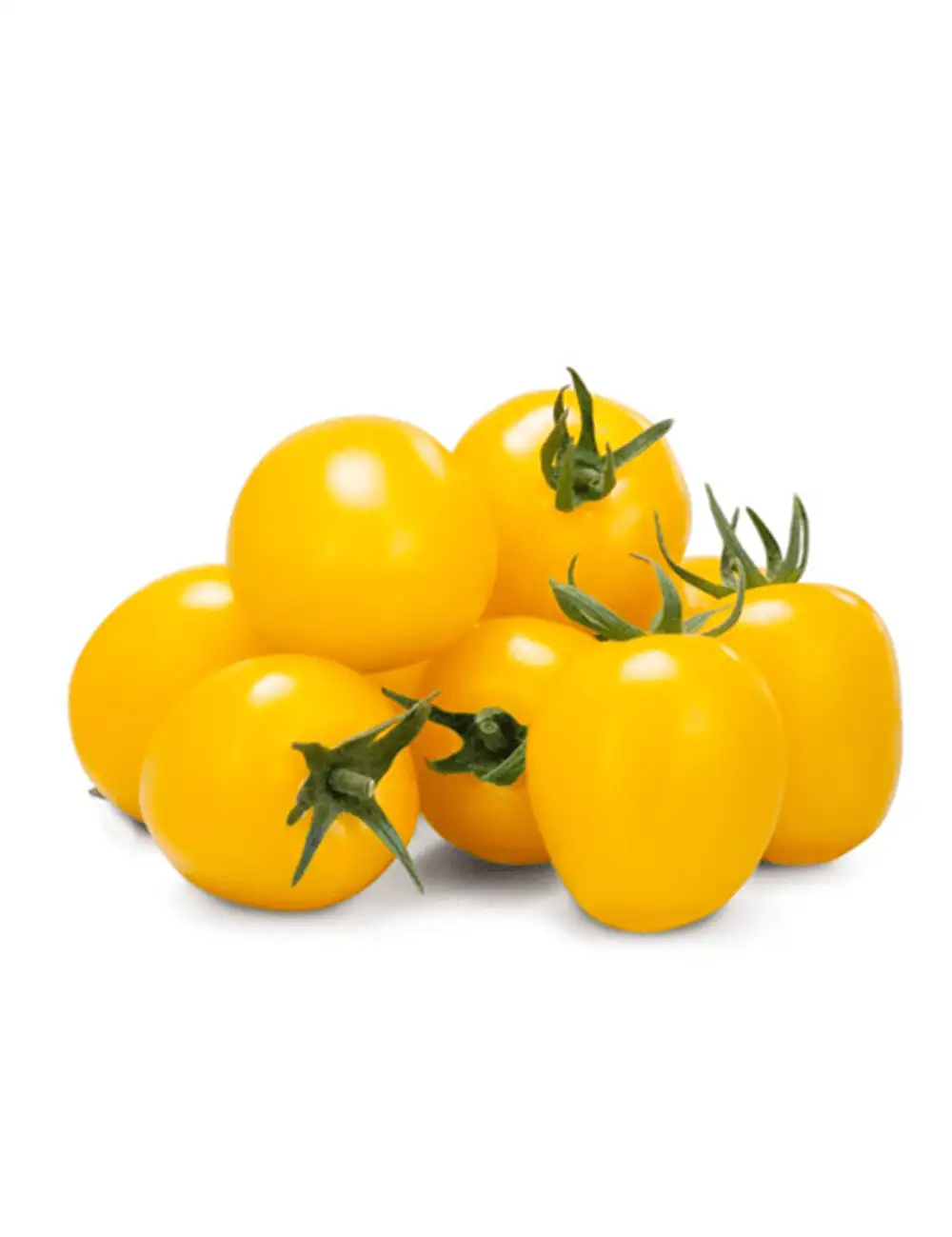 Tomate Tobrange