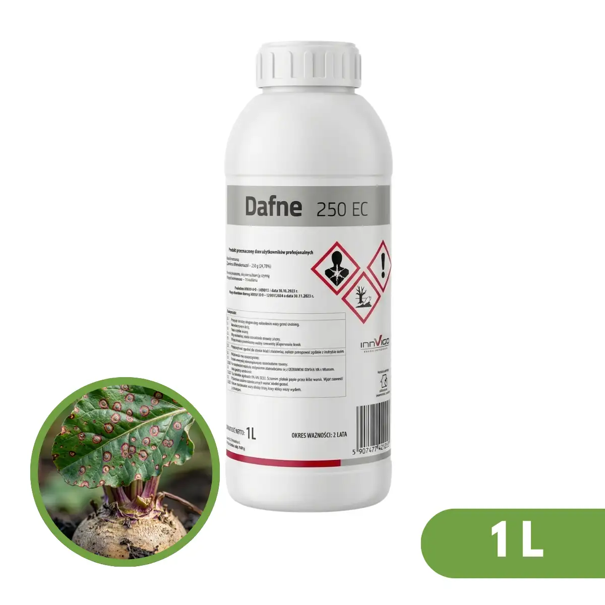 Dafne 250 EC