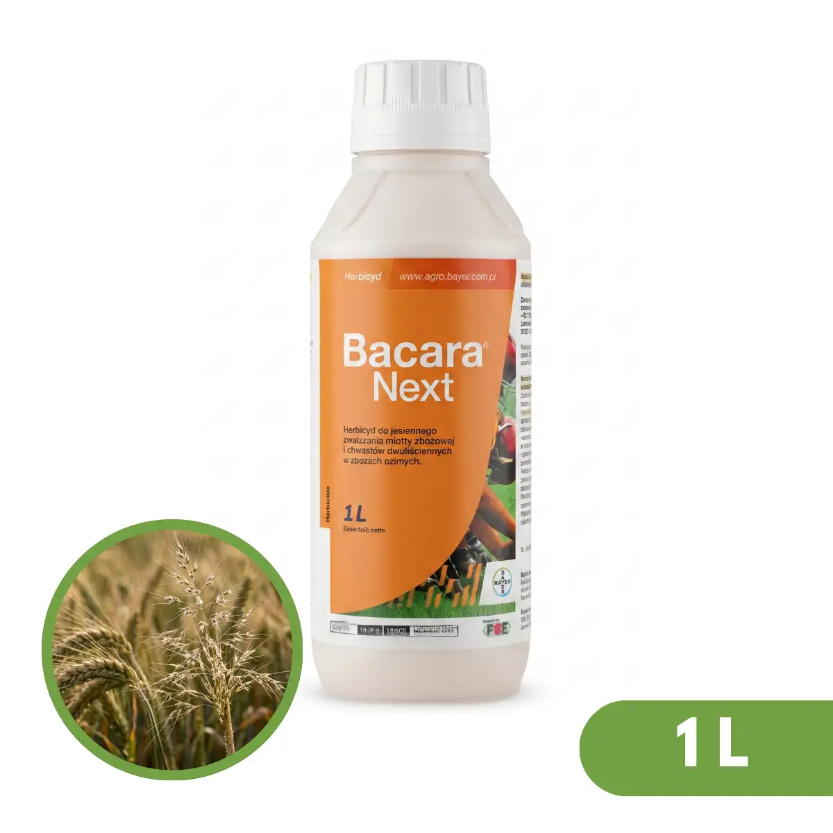 Bacara Next