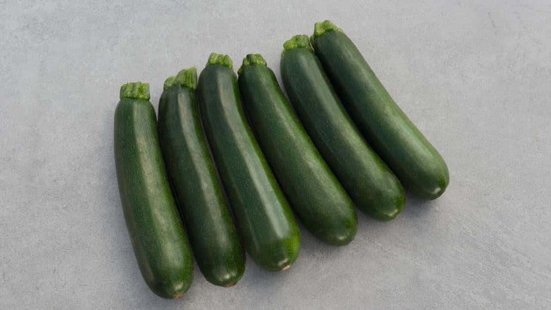 Zucchini Modena F1 Präzise