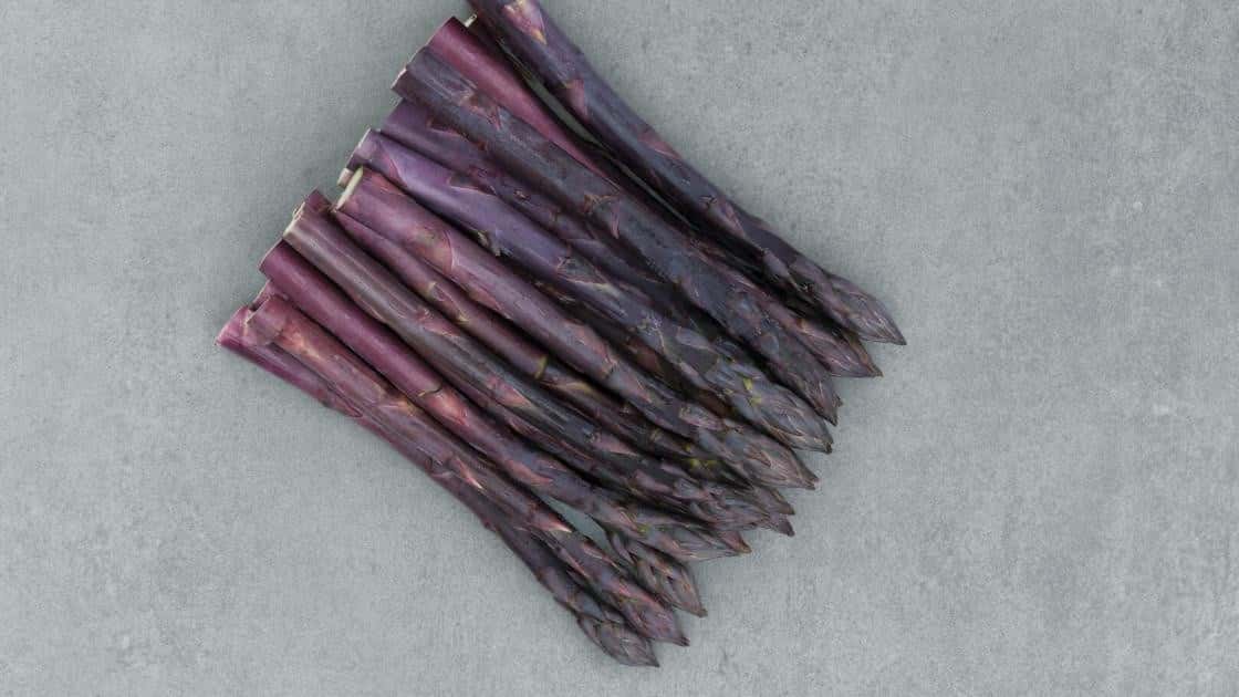 Asperge Erasmus violet