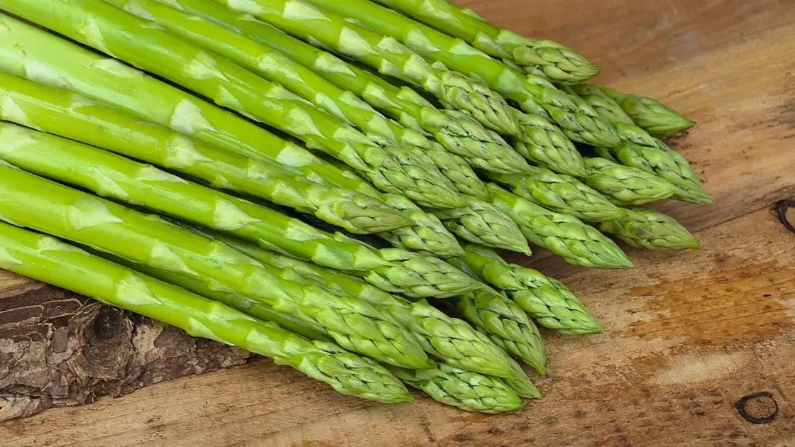 Asperge Bacchus F1 Précise