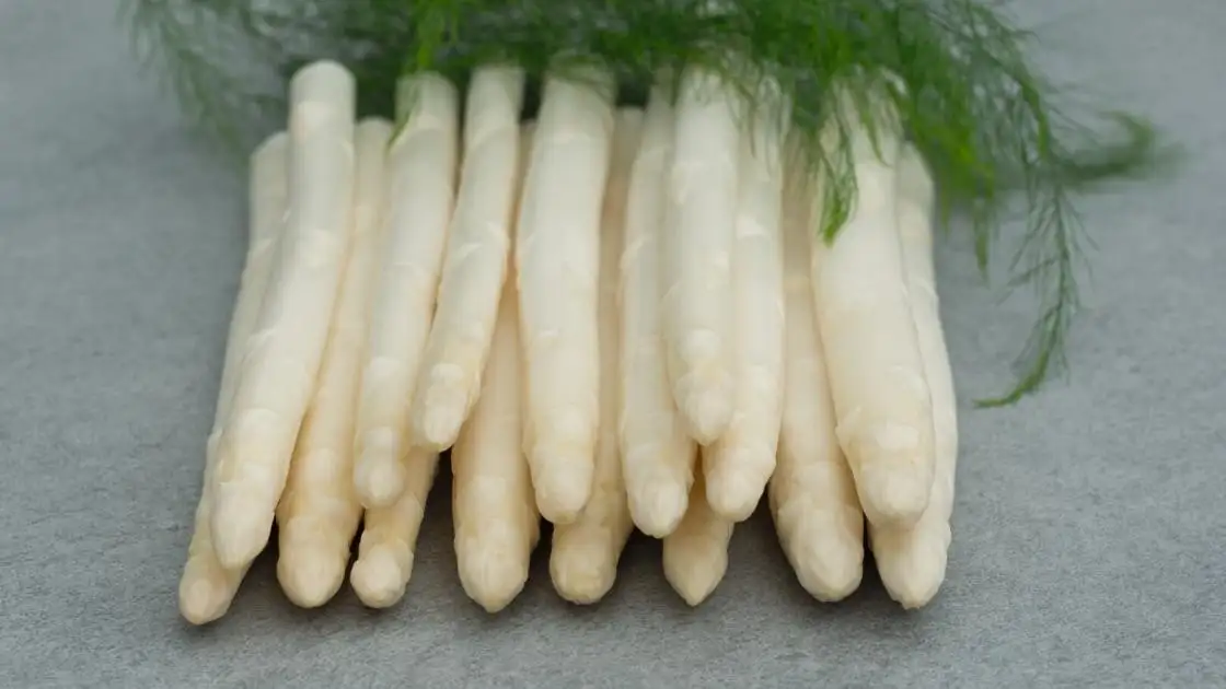 Asperge Prius F1 Précise