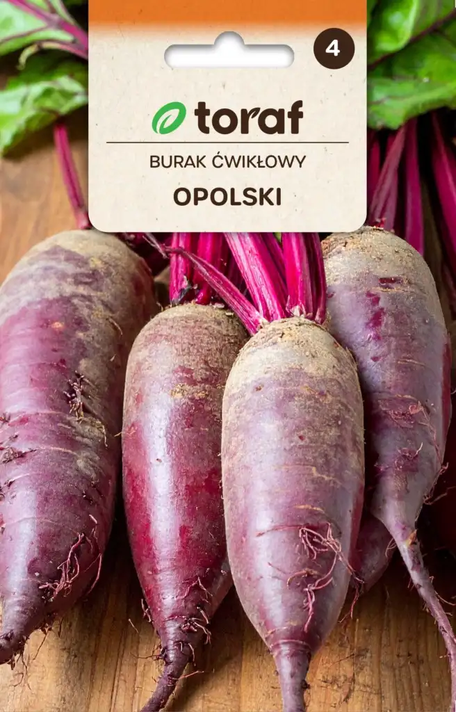 Rote Bete Opolski länglich