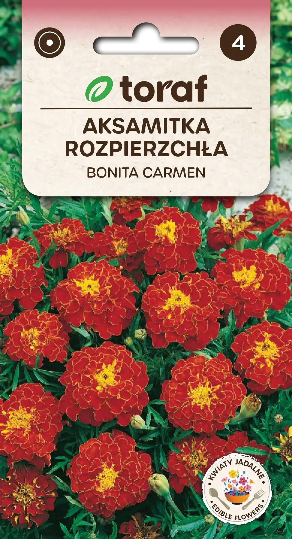 Tagetes patula Bonita Carmen