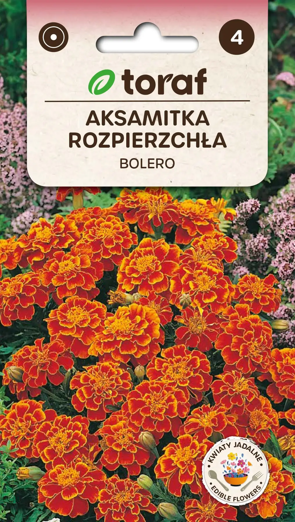 Tagetes Bolero