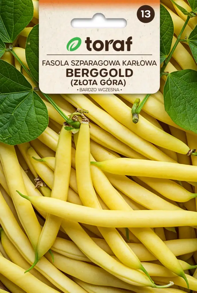 Berggold-Bohne