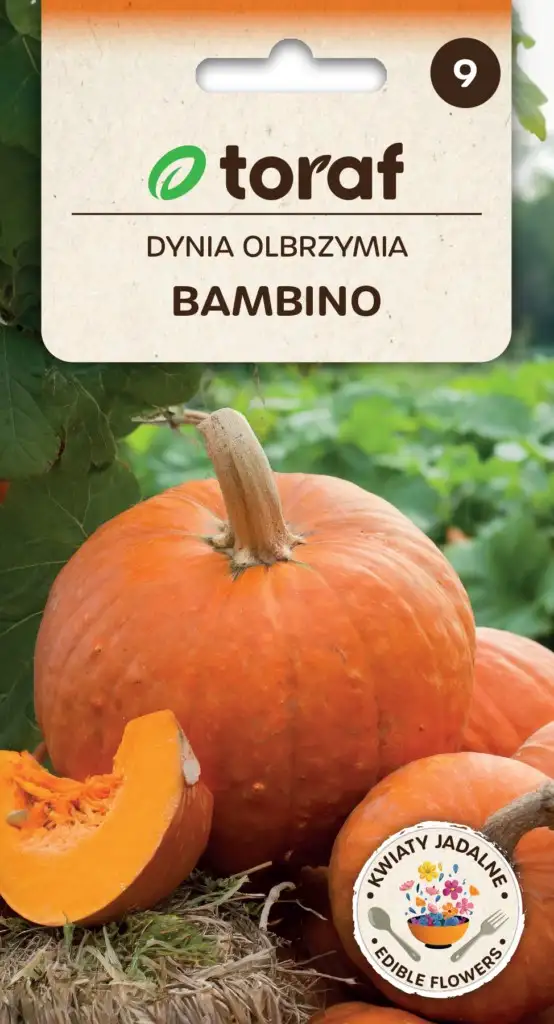 Riesenkürbis Bambino