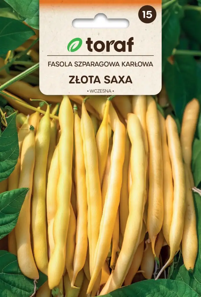 Goldbohne Saxa