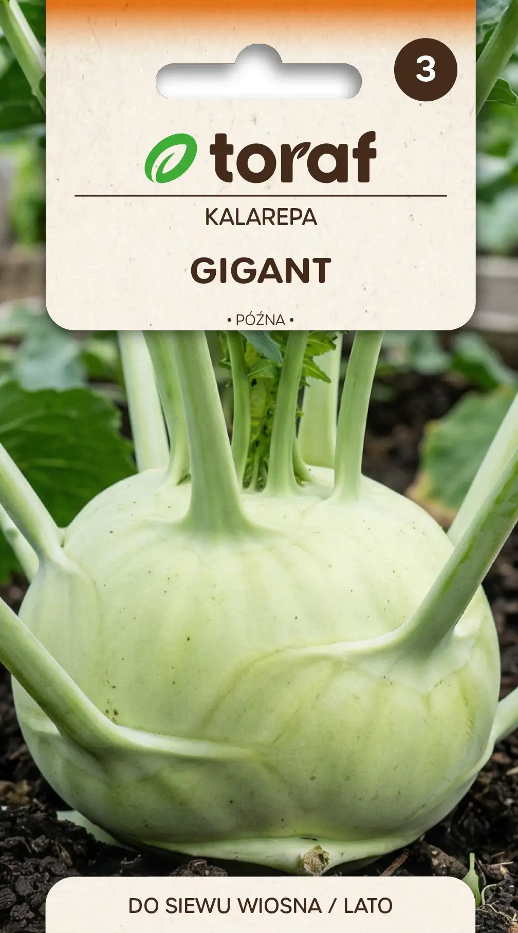 Kohlrabi Gigant