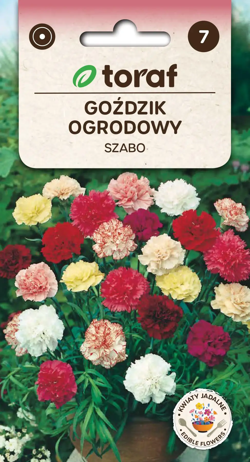 Gartennelke Szabo Mix