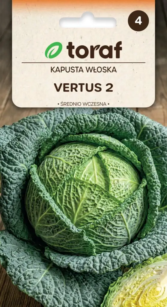 Italienischer Kohl Vertus