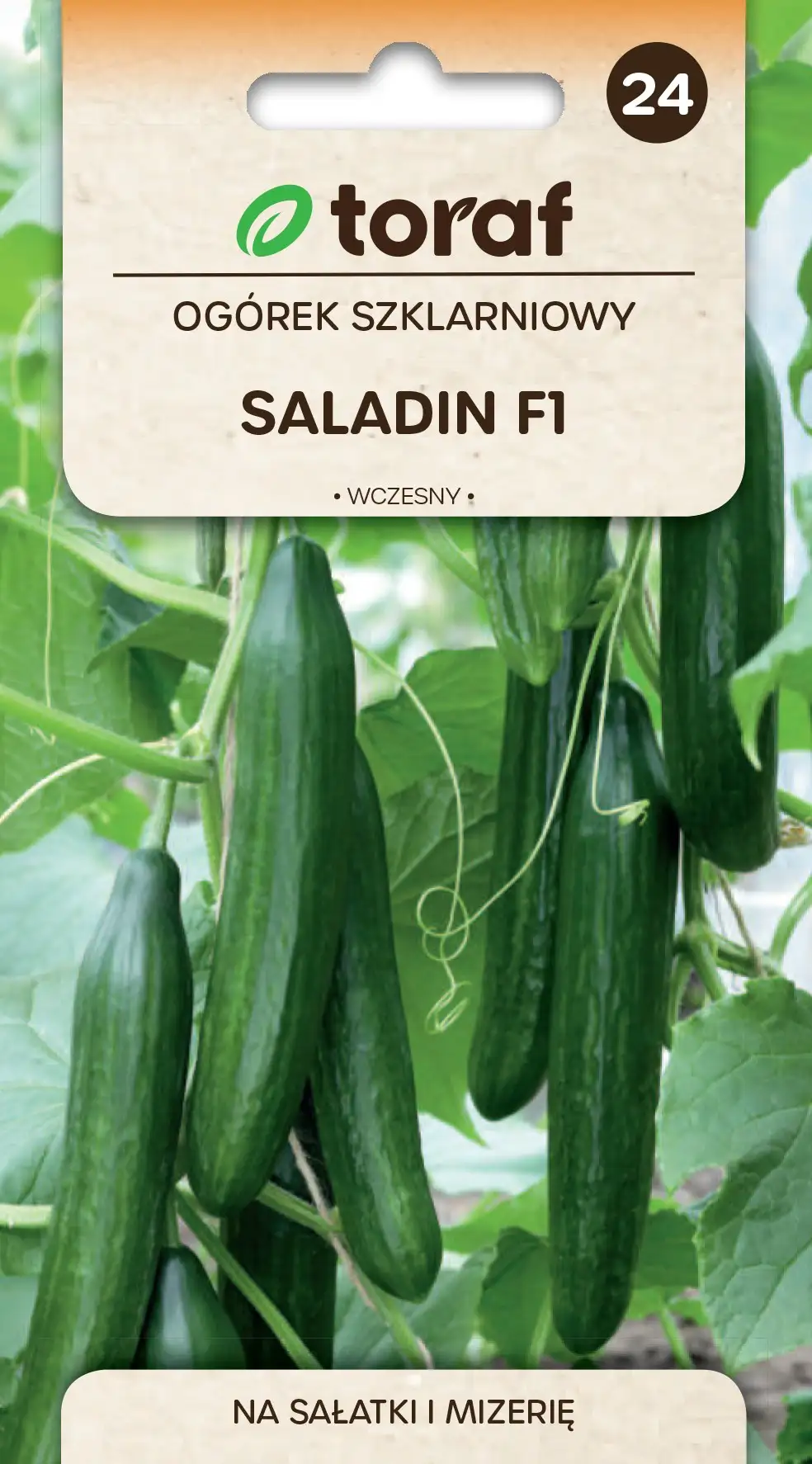 Gurke unter Schutz Saladin