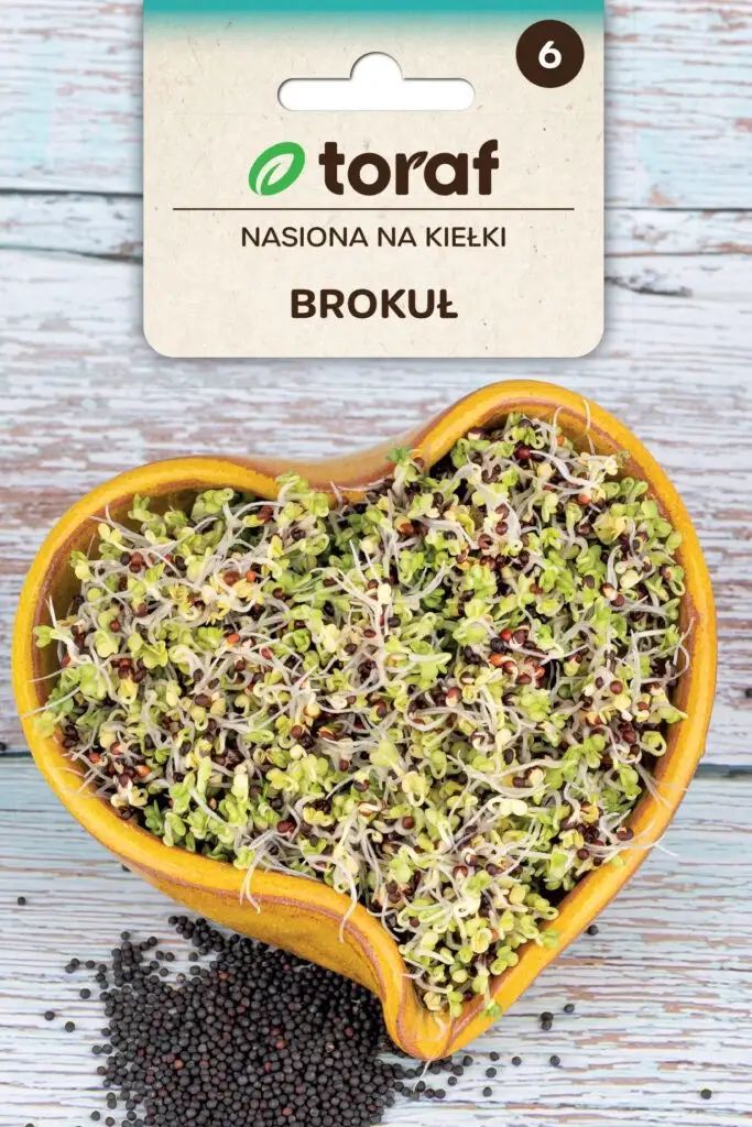 Sprossen-Samen - Brokkoli