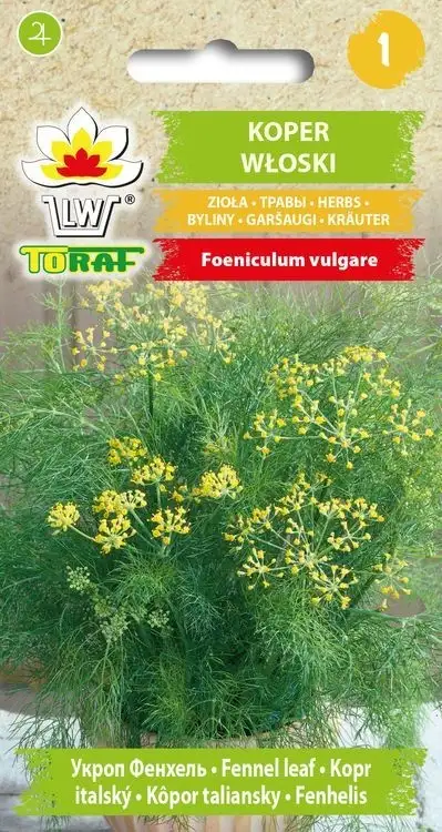 Fennel