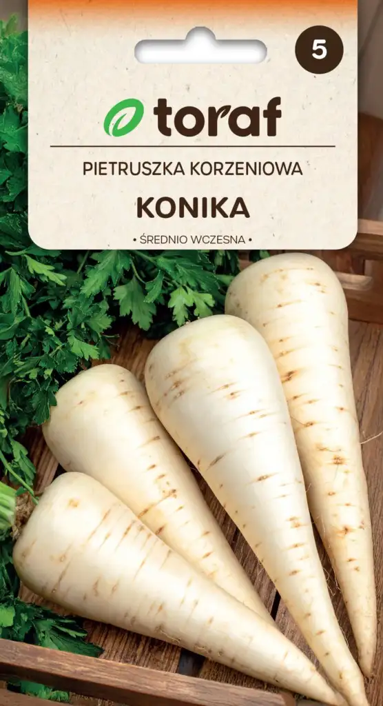 Petersilie Konika Mittelspät