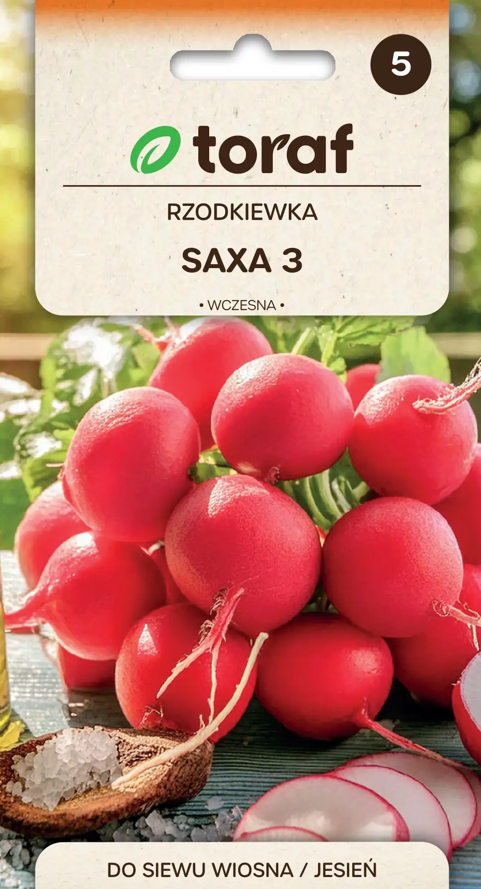Radieschen Saxa 3