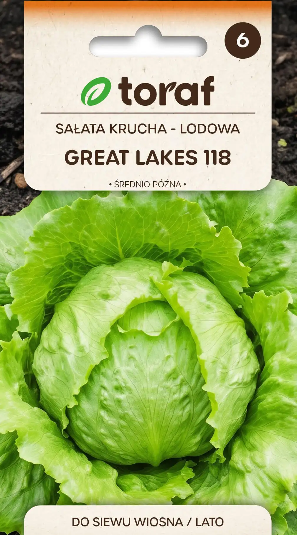 Lettuce Crisphead Iceberg Great Lakes 118
