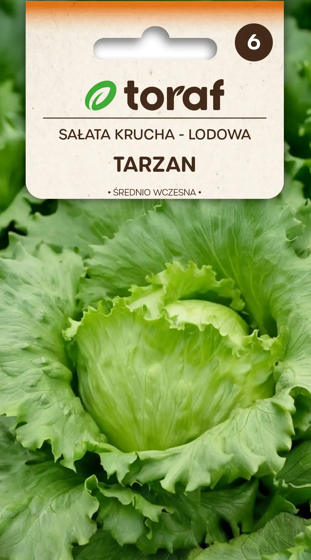 Salat Tarzan Eisberg