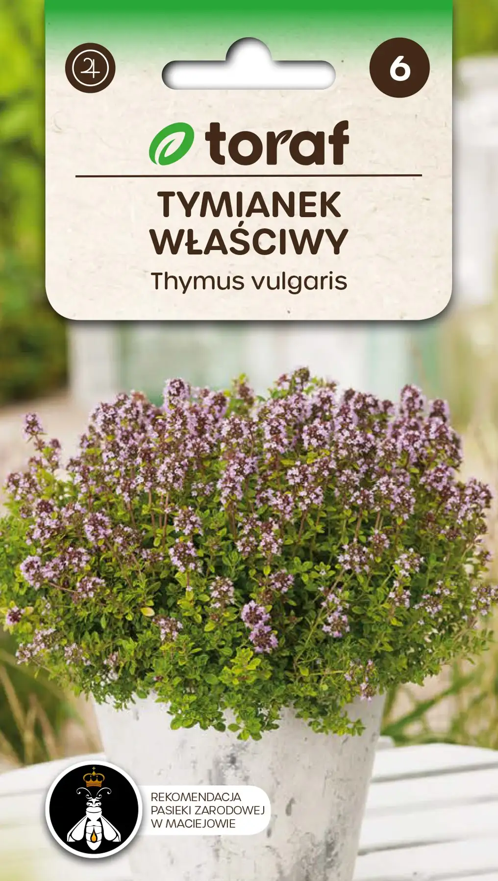Thymian