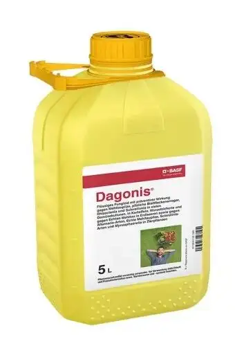 Dagonis