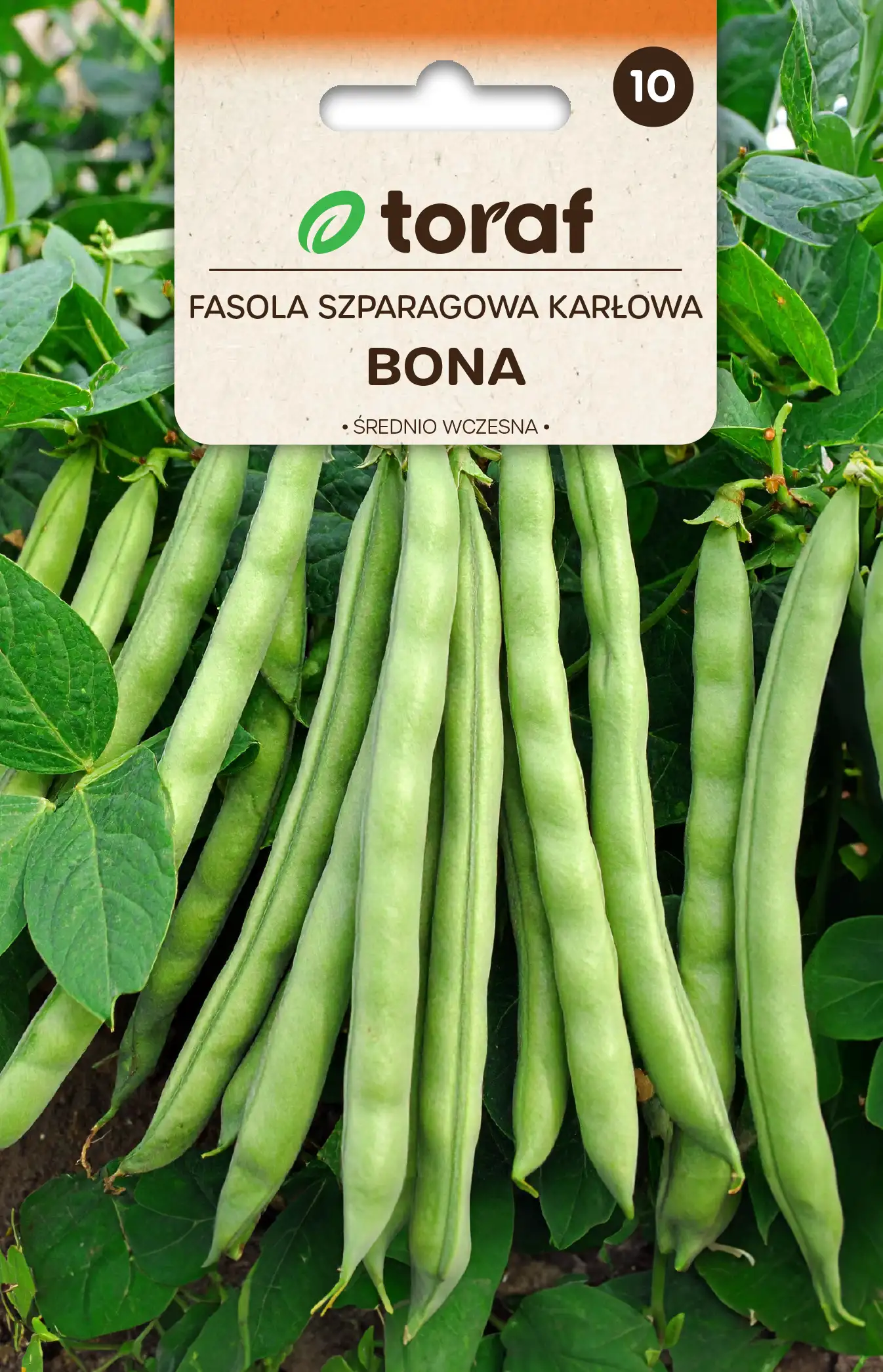 Fasola Szparagowa Karłowa Zielonostrączkowa Bona - Średnio Wczesna