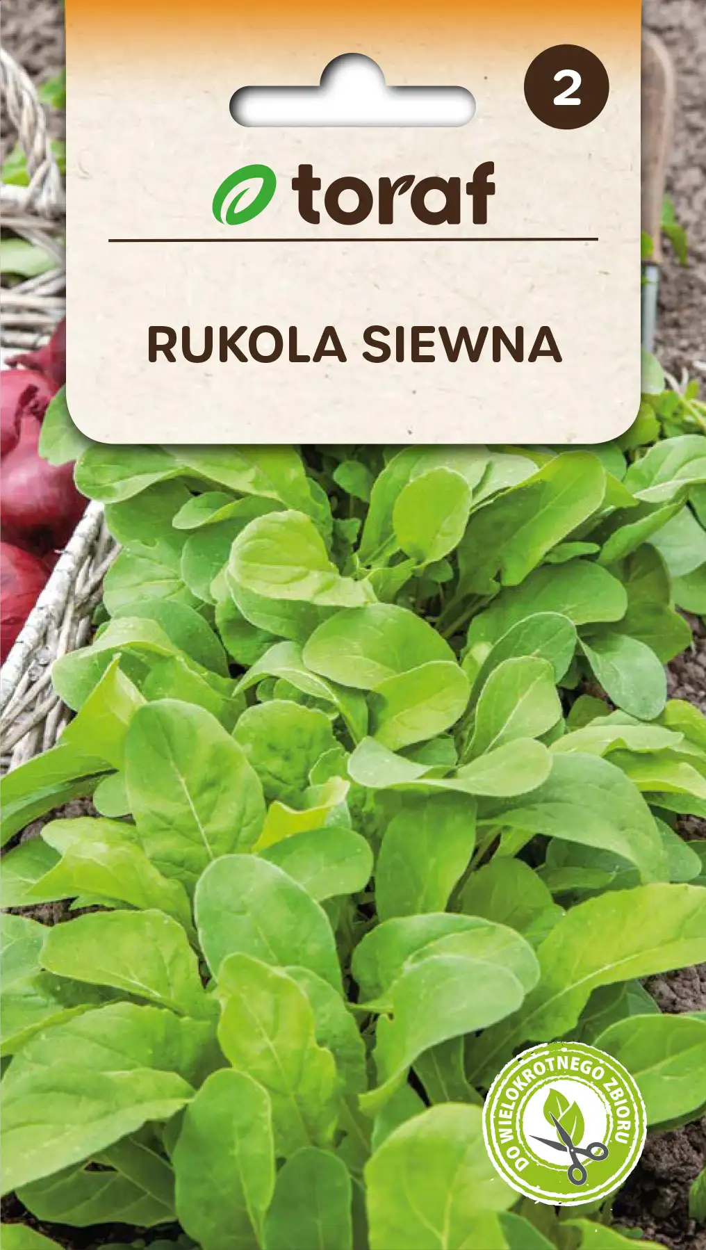 Rukola