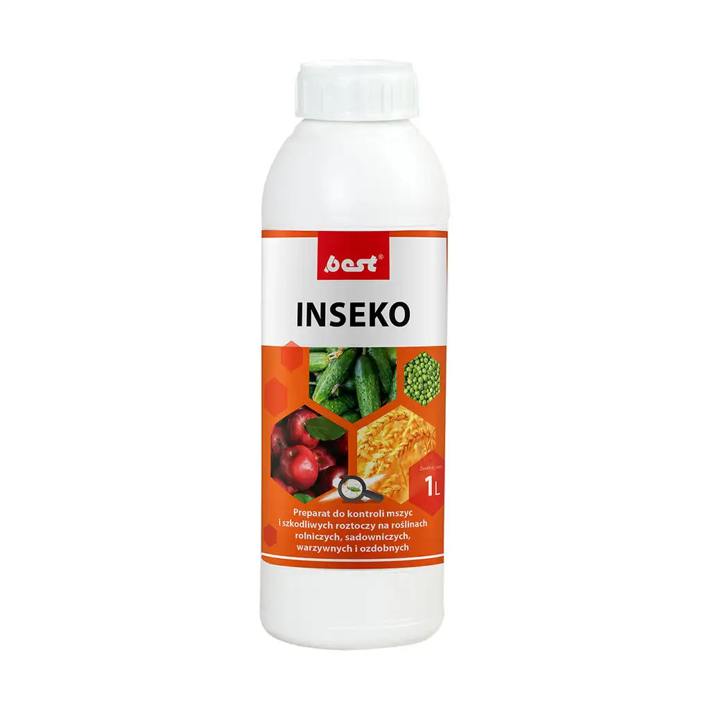 Inseko A
