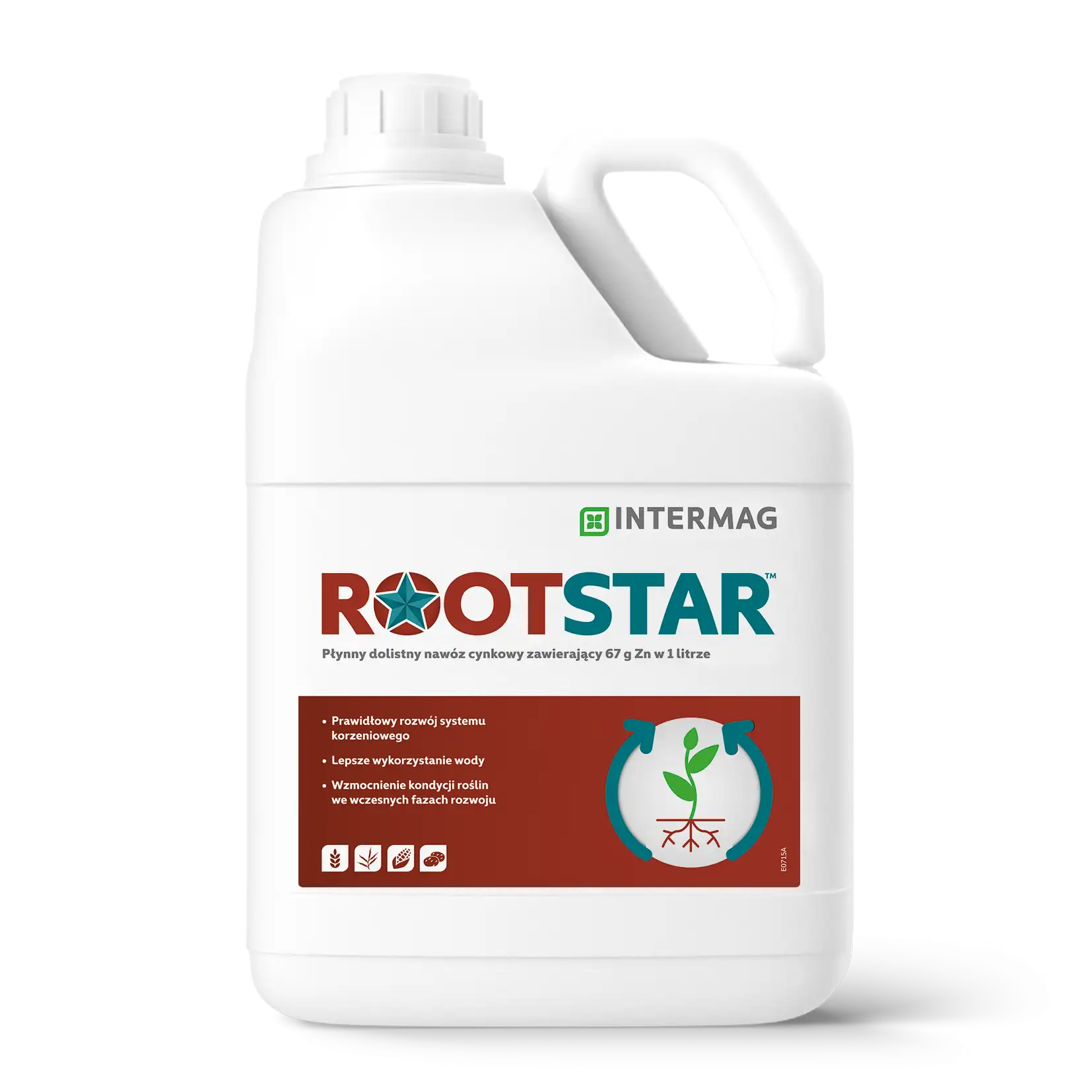 Rootstar Intermag – foliar biostimulant, rooting agent
