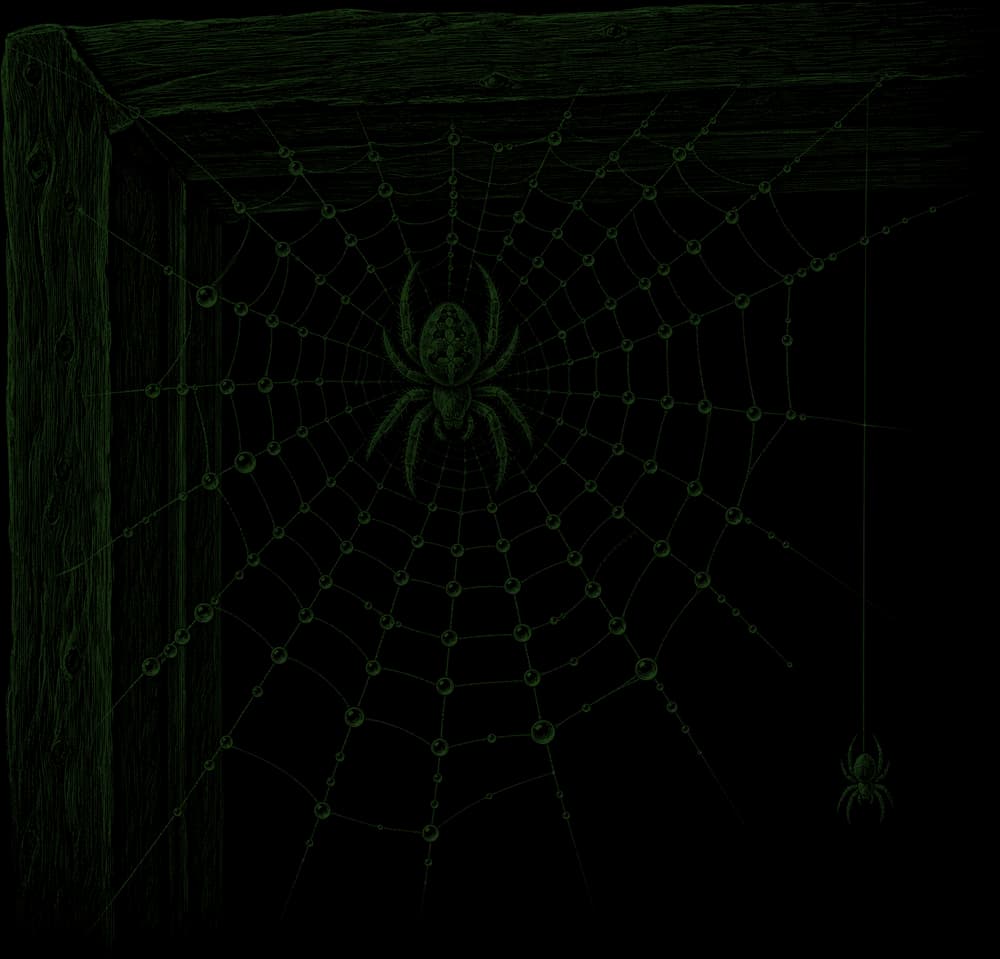 Zeichnung: Spinne im Netz in der Fensterecke