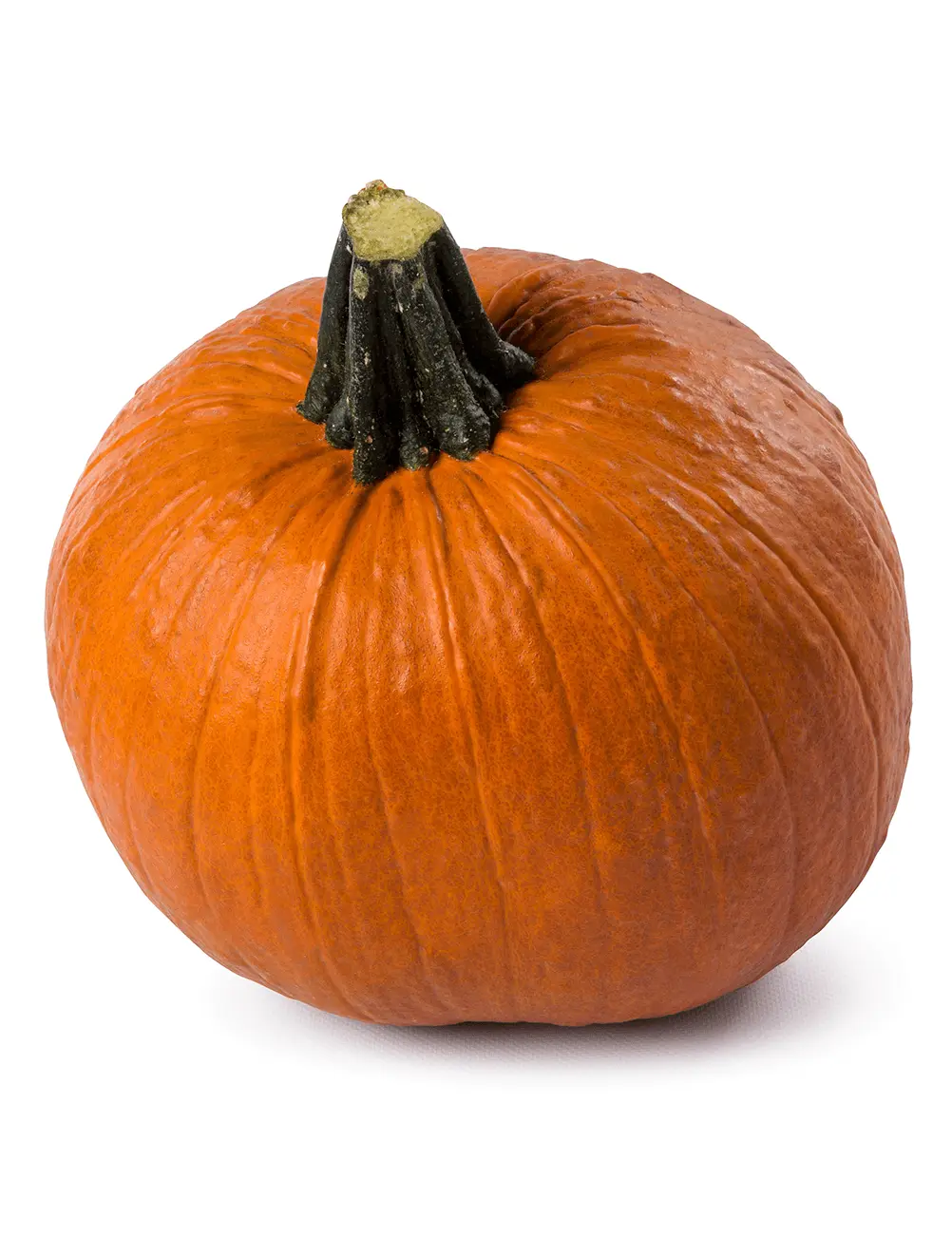 Courge Flynn F1