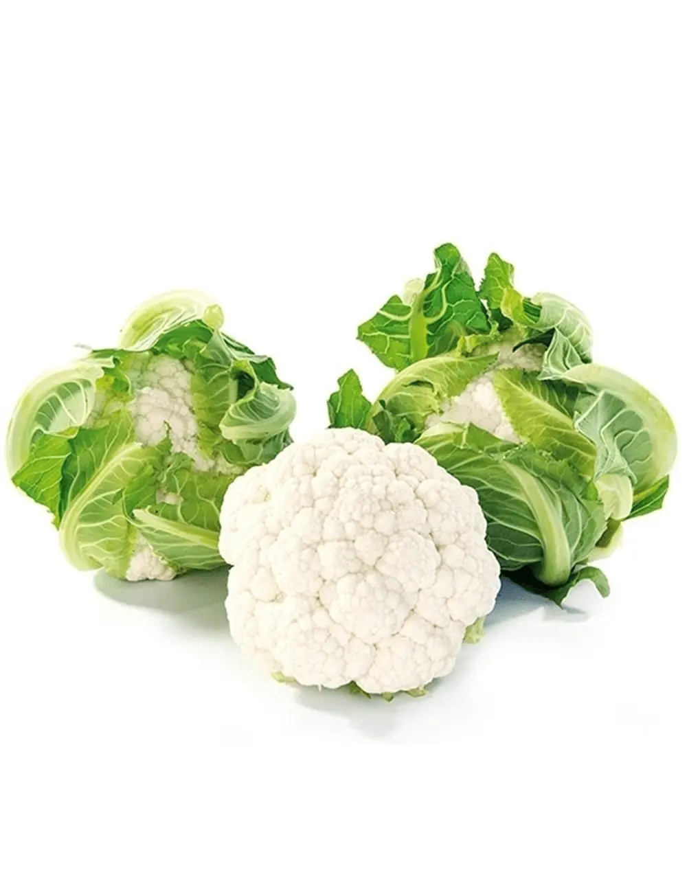 Blumenkohl Whitex F1