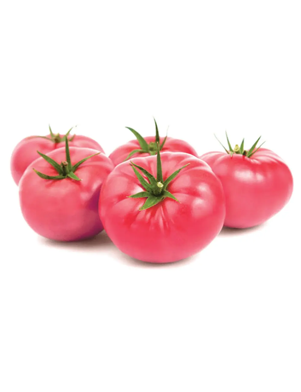 Tomate Himbeere Fujimaru