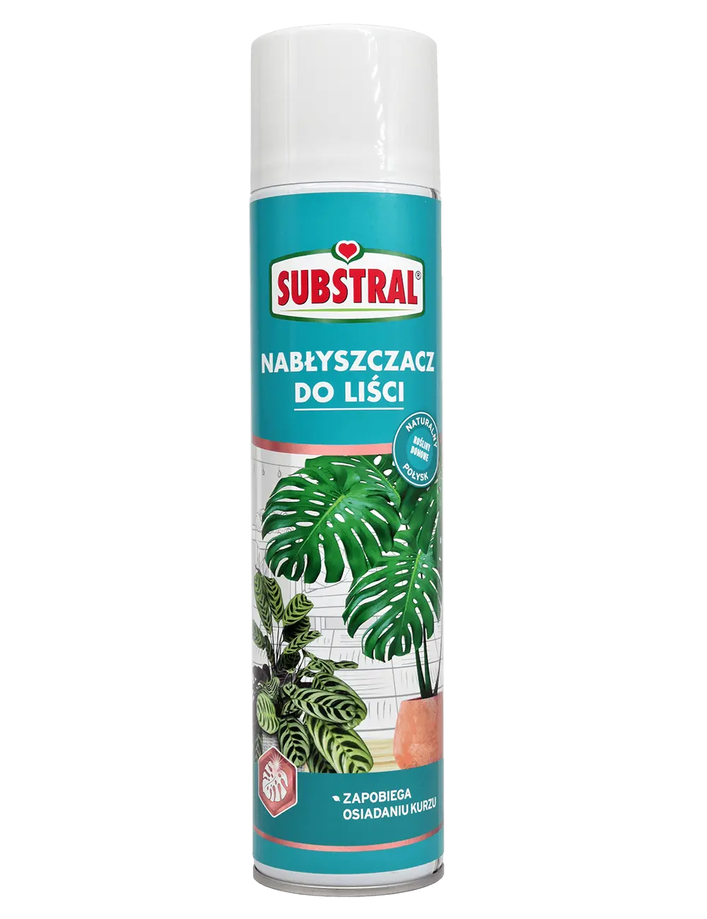Substral Blattglanzmittel 2