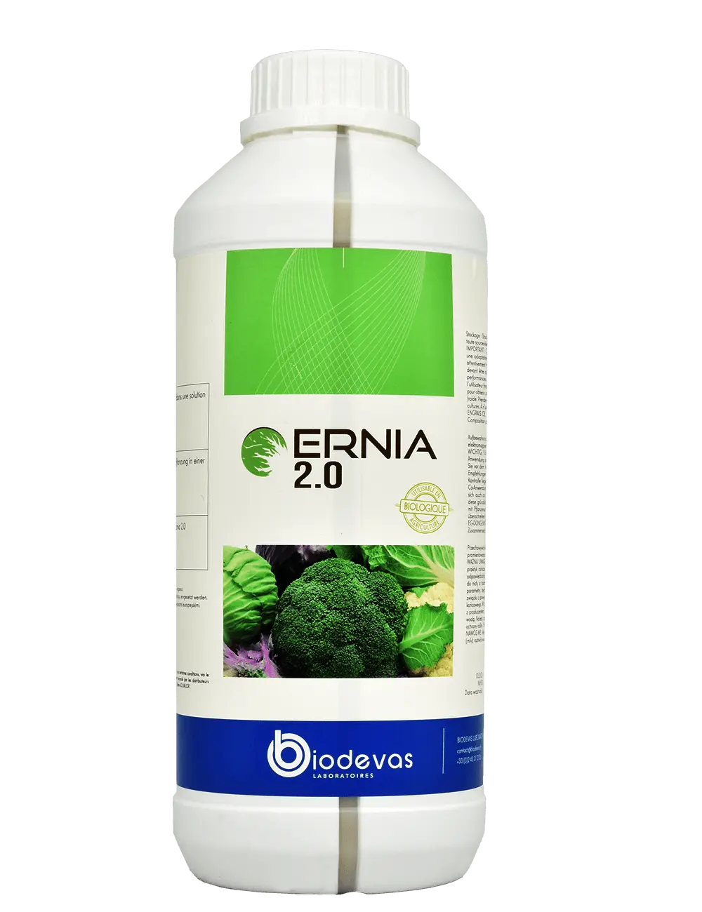 Ernia 2.0