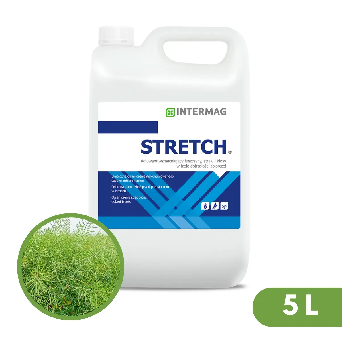 Stretch Schalenkleber 2