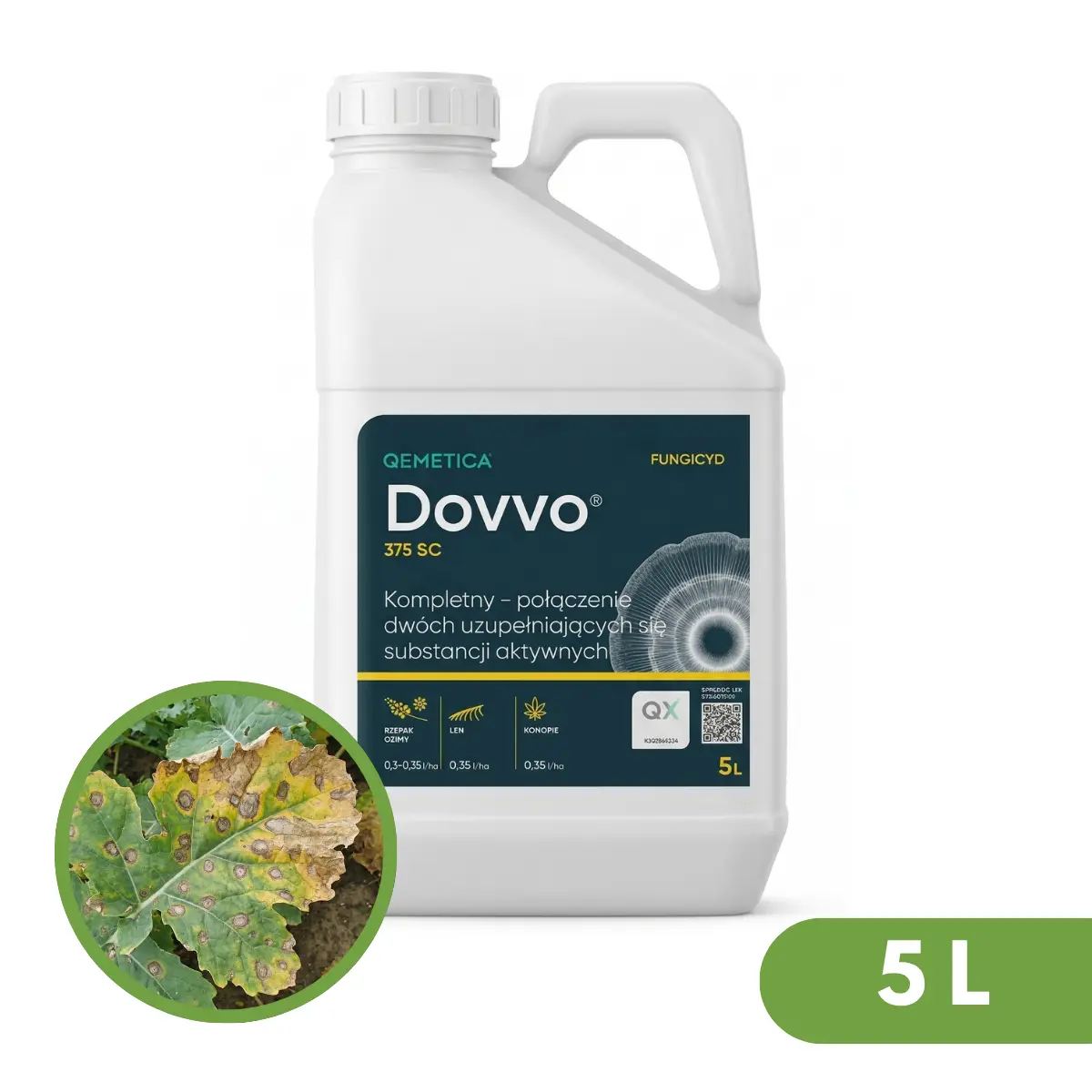 Dovvo 375 SC 2