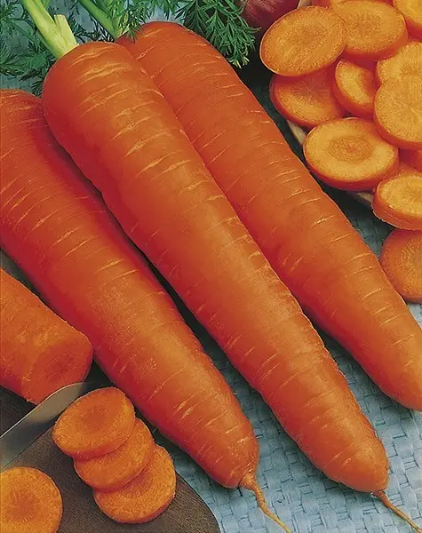Möhre Flakkese 2