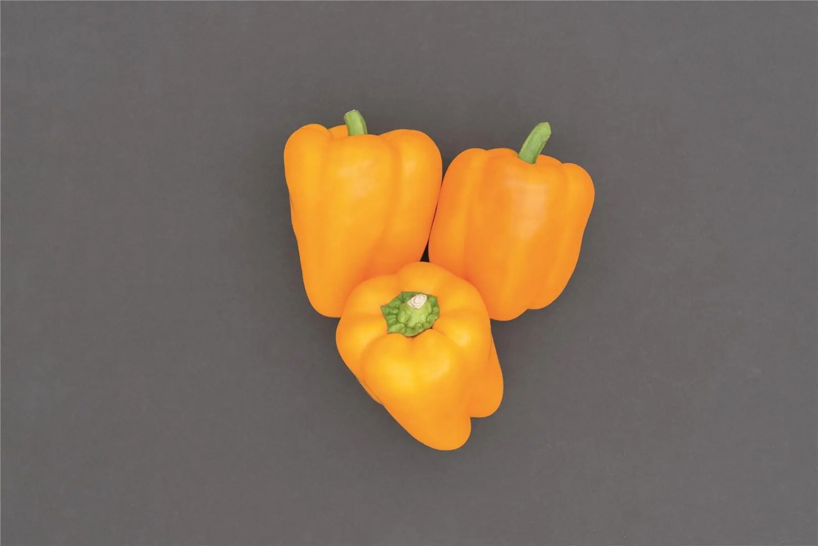 Paprika Turbine F1 Samen