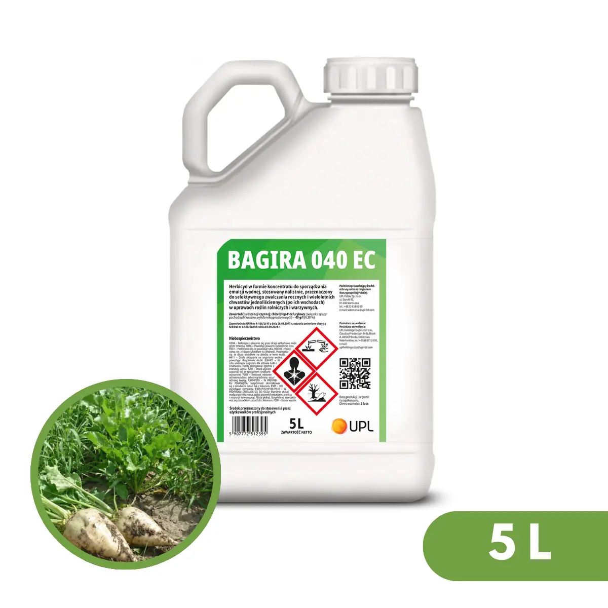 Bagira 04 EC 2